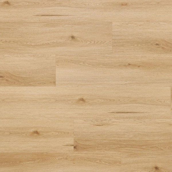 Afirmax Legnar Acoustic Dub Arvada 4341532