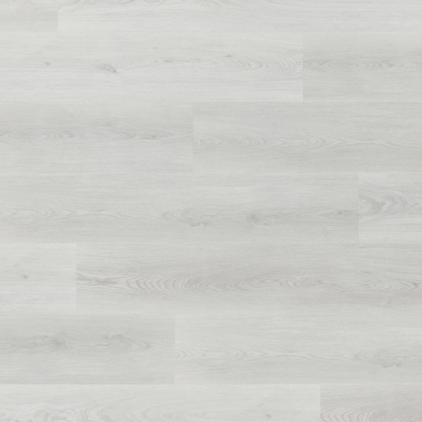 Afirmax Legnar Dub Takeda 4541892