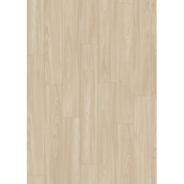 Akácia Sheffield sve...