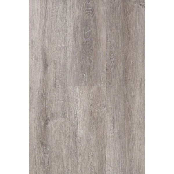 REGINA Canadian Design