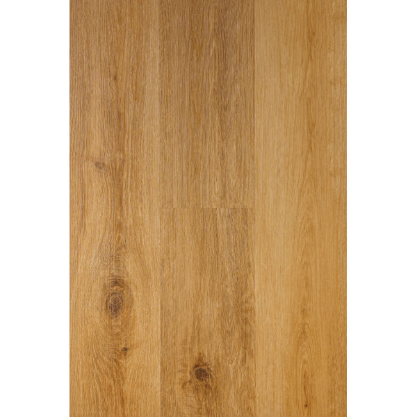 GOLDEN Canadian Design