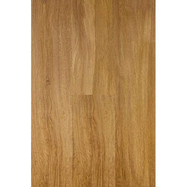 HAMILTON Canadian Design