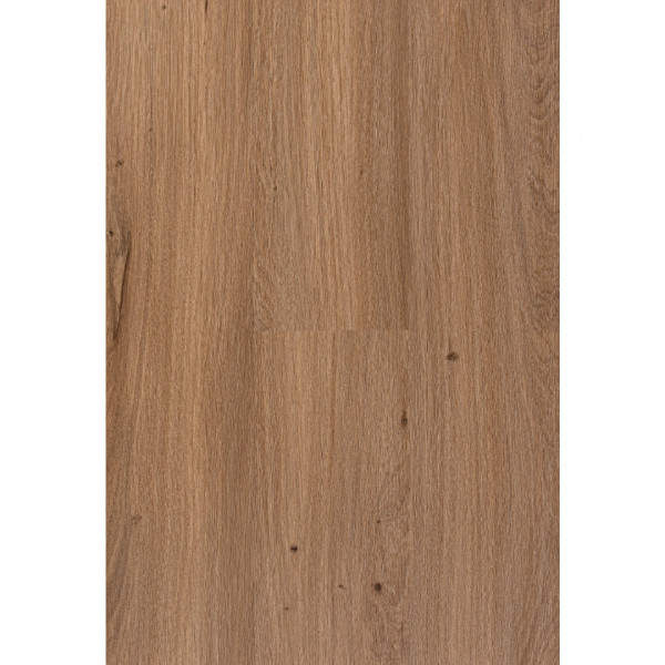 JÄGERNDORF Dry Back