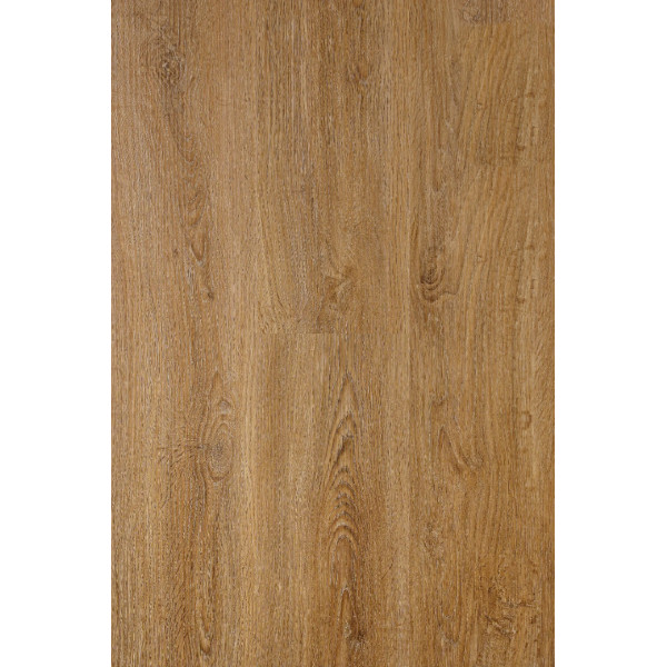 VICTORIA Dry Back