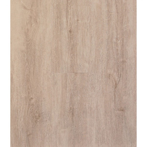 WINDSOR OAK XXL premium