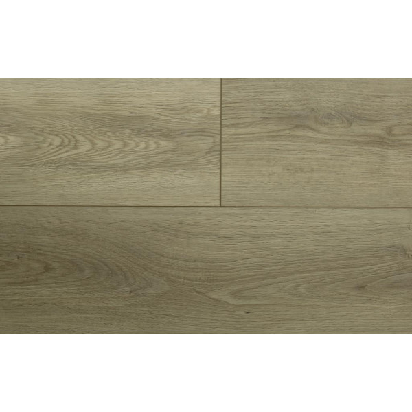 Mountain Oak