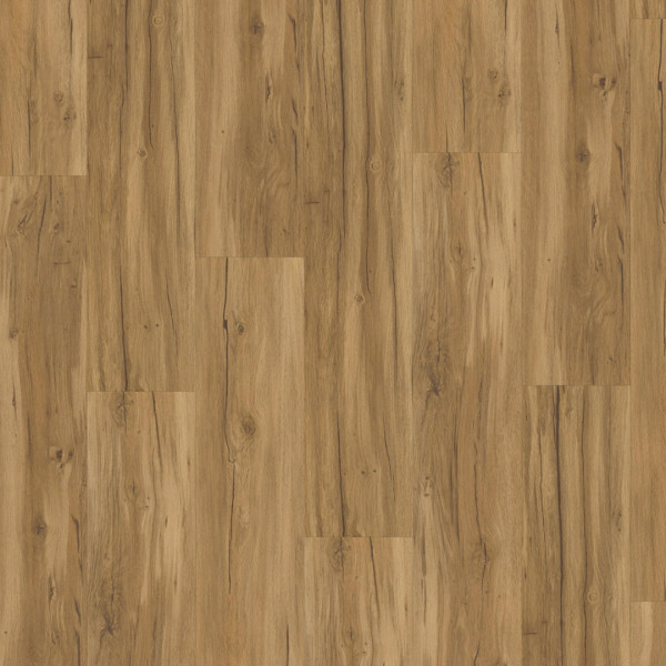 Vinyl Parador Classic 2025 Dub Memory natural 1748871