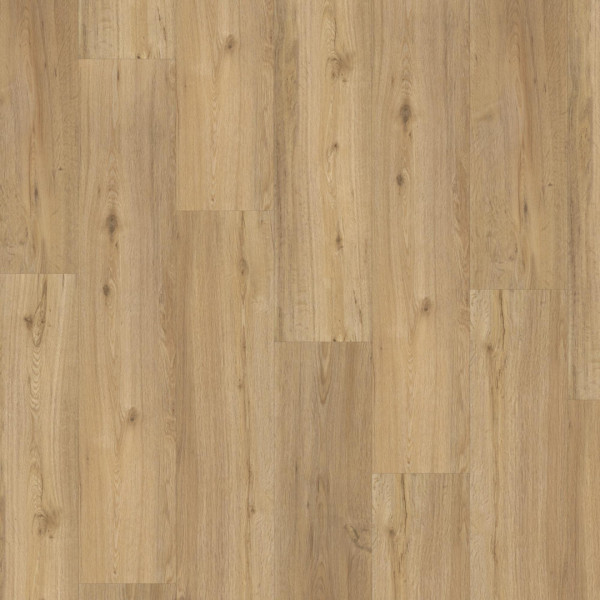 Vinyl Parador Classic 2025 Dub natural 1748872