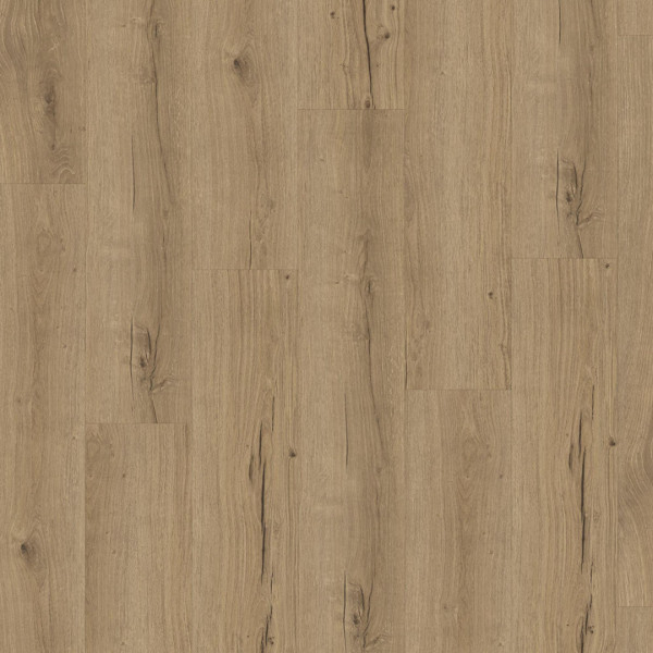 Vinyl Parador Classic 2025 Dub Cambridge natural 1748873