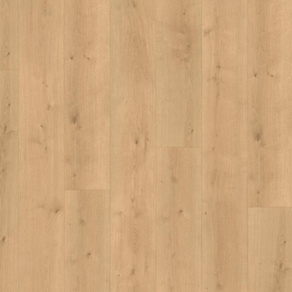 Modular ONE Dub Pure prírodný P1730802