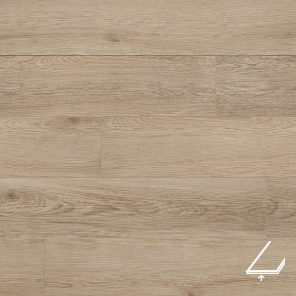 OAK PALLAR Vox Rigio