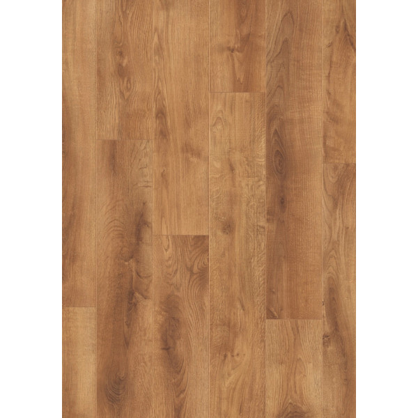 STY00387(AP) - Sunset Oak