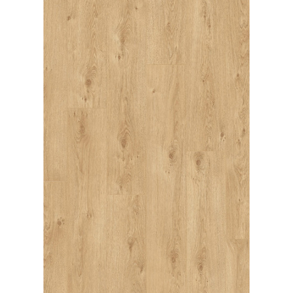 STY00553(AP) - Spring Oak