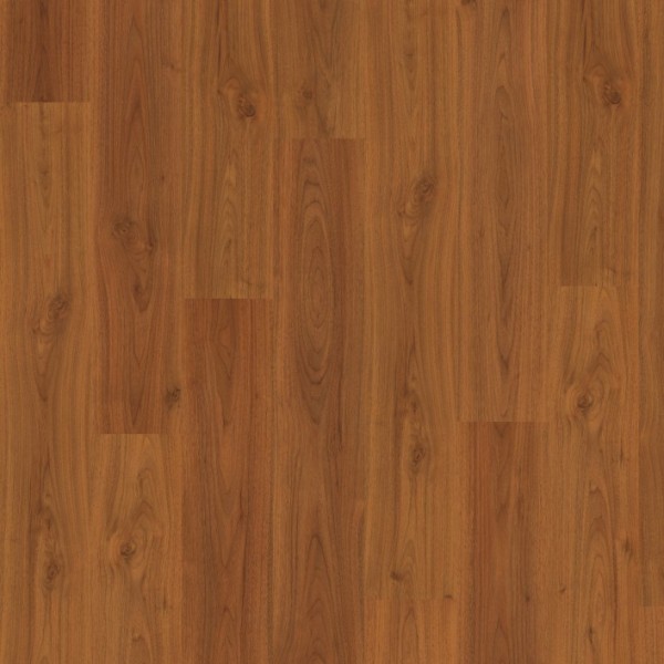 Orech Langley červený EPL066