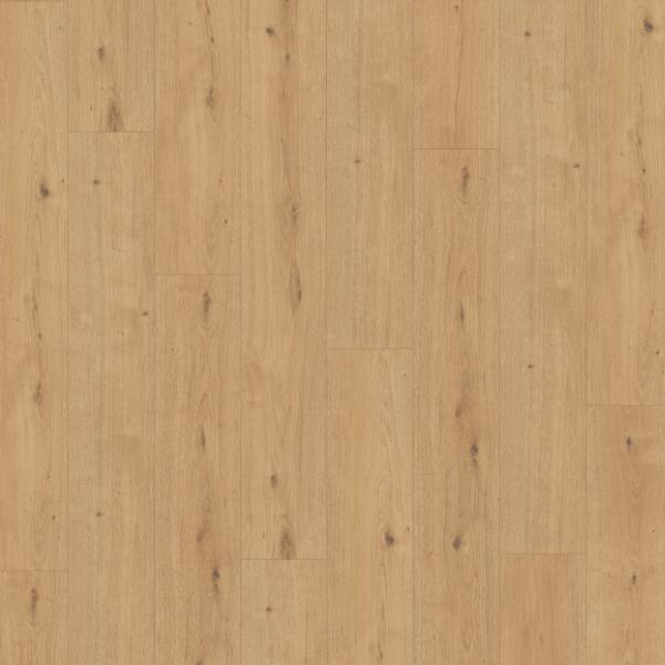 Modular ONE oak atmosphere natural authentic 1744545