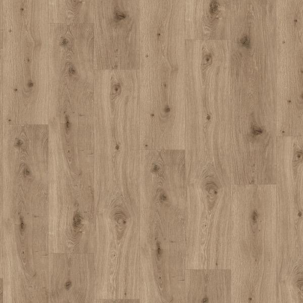 Trendtime 8 Imperial Oak Macchiato authentic 1744827
