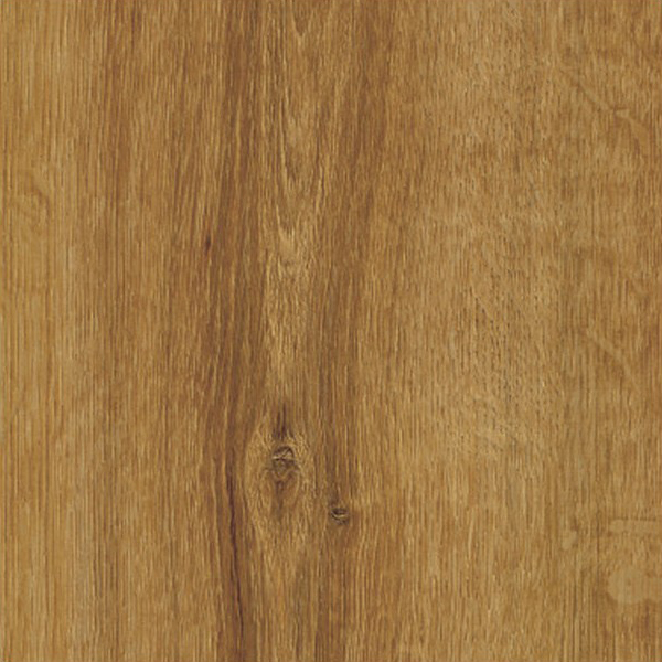 Rigio 4V European Oak 63423